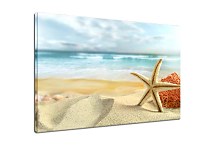 Obraz Príroda Hviezdica zs6644