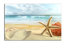 Obraz Príroda Hviezdica zs6644