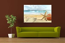 Obraz Príroda Hviezdica zs6644