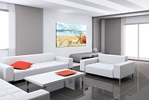 Obraz Príroda Hviezdica zs6644