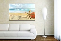 Obraz Príroda Hviezdica zs6644