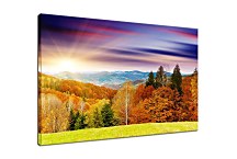 Obrazy s Prírodou zs24413