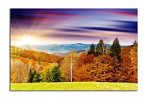 Obrazy s Prírodou zs24413