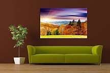 Obrazy s Prírodou zs24413