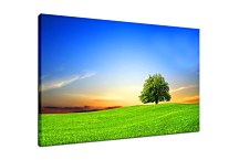 Obraz Príroda zs24421