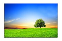 Obraz Príroda zs24421