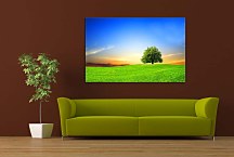 Obraz Príroda zs24421