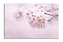 Obraz Rozkvitnutá vetvička zs6622