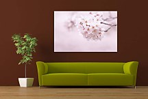Obraz Rozkvitnutá vetvička zs6622