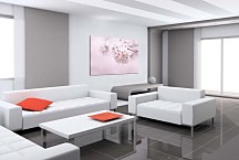 Obraz Rozkvitnutá vetvička zs6622