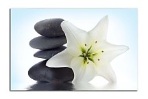 Obraz Spa Zen kamene zs6665