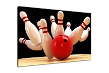 Obraz Sport Kolky zs4004