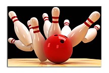 Obraz Sport Kolky zs4004