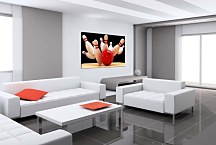 Obraz Sport Kolky zs4004