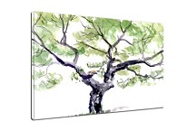 Obraz Strom zs6664