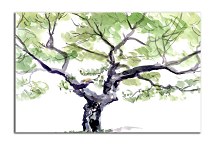 Obraz Strom zs6664