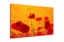 Obraz Vlčí Mak zs5991