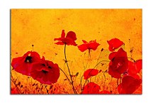 Obraz Vlčí Mak zs5991