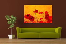 Obraz Vlčí Mak zs5991
