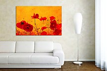 Obraz Vlčí Mak zs5991