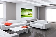 Obraz Zelený Strom zs24425