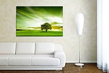 Obraz Zelený Strom zs24425