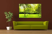 Obraz Zelený les zs6657