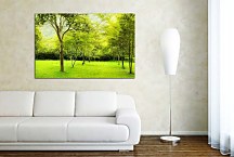 Obraz Zelený les zs6657