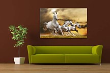 Obraz Zvieratá Kone  zs24423