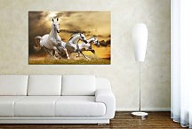 Obraz Zvieratá Kone  zs24423