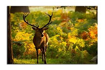 Poľovnícke obrazy Jeleň zs4069