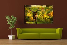 Poľovnícke obrazy Jeleň zs4069