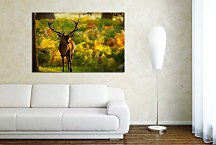 Poľovnícke obrazy Jeleň zs4069