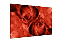 Obraz do obývačky Červené ruže zs4400