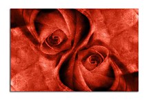 Obraz do obývačky Červené ruže zs4400
