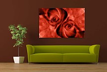 Obraz do obývačky Červené ruže zs4400