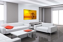 Obraz na stenu Glóbus zs6543