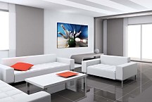 Obraz na stenu Kolky zs2009