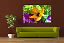 Obraz na stenu Kvet zs24405