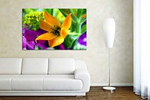 Obraz na stenu Kvet zs24405