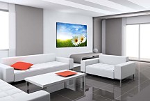 Obraz na stenu Lúka zs6201