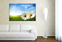 Obraz na stenu Lúka zs6201