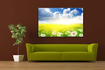 Obraz na stenu Lúka zs6201