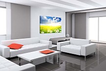 Obraz na stenu Lúka zs6201