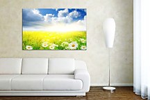 Obraz na stenu Lúka zs6201