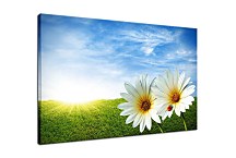 Obraz na stenu Lúka zs6201