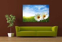 Obraz na stenu Lúka zs6201