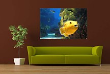 Obraz na stenu Podmorský Svet zs4352