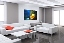 Obraz na stenu Podmorský Svet zs4352