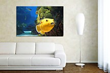 Obraz na stenu Podmorský Svet zs4352